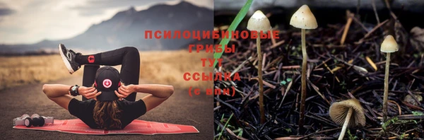 кристаллы Абаза