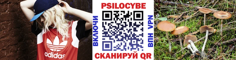 Псилоцибиновые грибы Psilocybe Лабытнанги